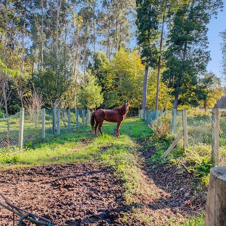 Casa Do Moinho Rural Campo E Praia , 9 Pessoas, Animais Benvindos Espinho  Εξωτερικό φωτογραφία