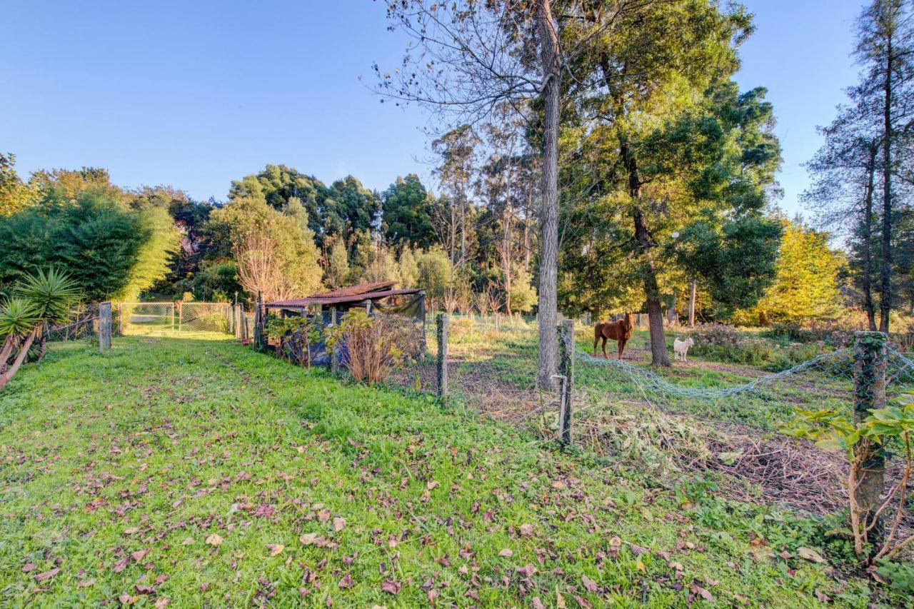 Casa Do Moinho Rural Campo E Praia , 9 Pessoas, Animais Benvindos Espinho  Εξωτερικό φωτογραφία