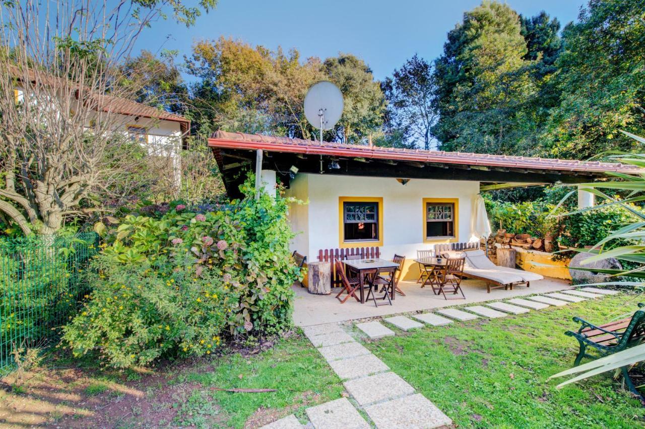 Casa Do Moinho Rural Campo E Praia , 9 Pessoas, Animais Benvindos Espinho  Εξωτερικό φωτογραφία