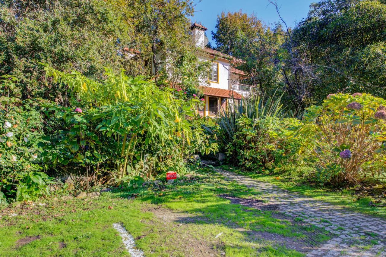 Casa Do Moinho Rural Campo E Praia , 9 Pessoas, Animais Benvindos Espinho  Εξωτερικό φωτογραφία