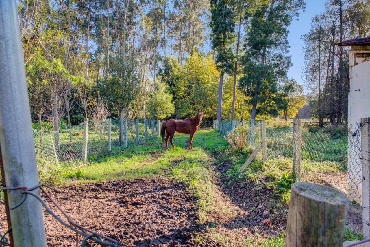 Casa Do Moinho Rural Campo E Praia , 9 Pessoas, Animais Benvindos Espinho  Εξωτερικό φωτογραφία