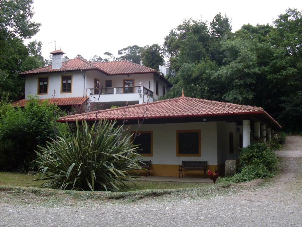 Casa Do Moinho Rural Campo E Praia , 9 Pessoas, Animais Benvindos Espinho  Εξωτερικό φωτογραφία