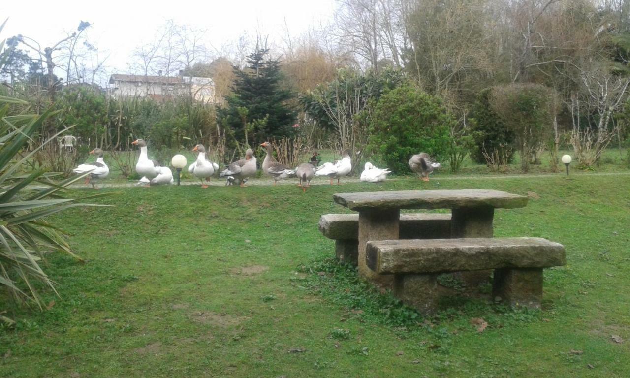 Casa Do Moinho Rural Campo E Praia , 9 Pessoas, Animais Benvindos Espinho  Εξωτερικό φωτογραφία